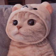 Meow ツ