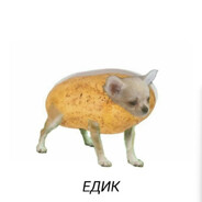 GerbeRussia