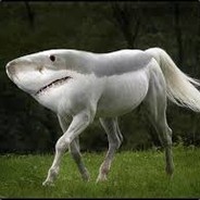 F1 lanshark