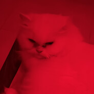 ABDkiller14