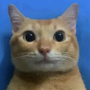 ๋