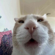 moke