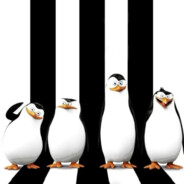 Mr.Pengu