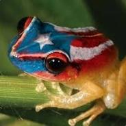 PuertoricanCobra