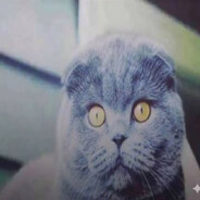 furoko