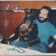 Mr_Meister