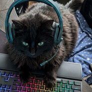 Steam Community Avatar