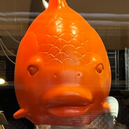 Mr Fish