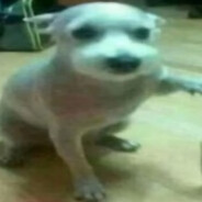 1337