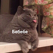 Mateo