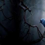 MariusV95