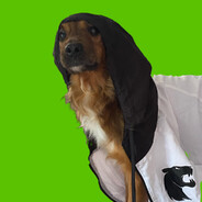 CACHORRO VERDE