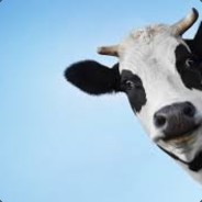 PrimeBoeuf