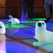 Clubbin Baby Seals