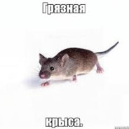 Абразивная Крыса