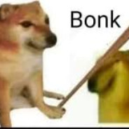Bonk. avatar