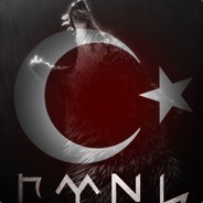TheArkTheNight