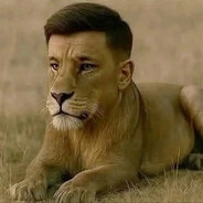 lion лев