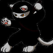 ninjakitteh