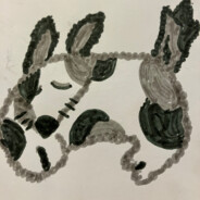 ✰Alula✰
