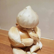squid