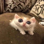 私は孤独です