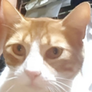 Avatar de Bocon Slayer