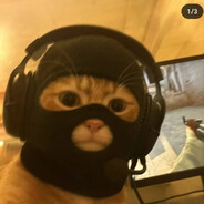 Nik01