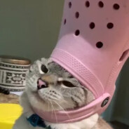 pink