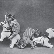 Steam Community Avatar