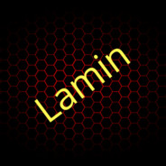 Lamin