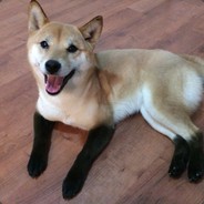 BALU