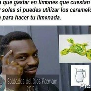 OsoPolarDeLasMontañas