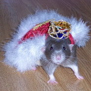Da Rat King