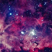 </>
