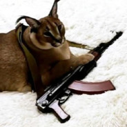 Вот такие пироги