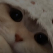 Appealing Kibby