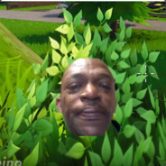 Nyakitka 2.0