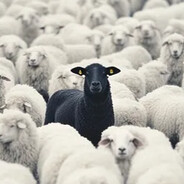 TheBlackSheep