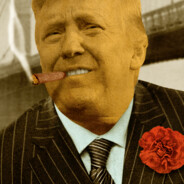 THE DON