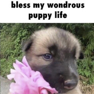 phasmophobe