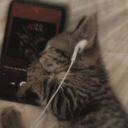 :3