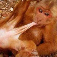 Yeaaa suck that monkey diih boii