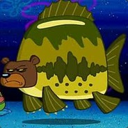 SeaBearCircle