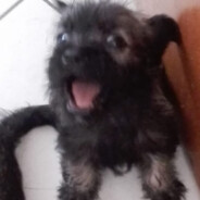 Emili0