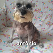 Opa