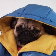Woof woof
