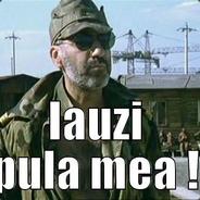 Capitanul Burcea