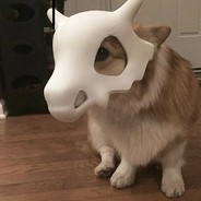 南山逐梦