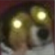 Lev